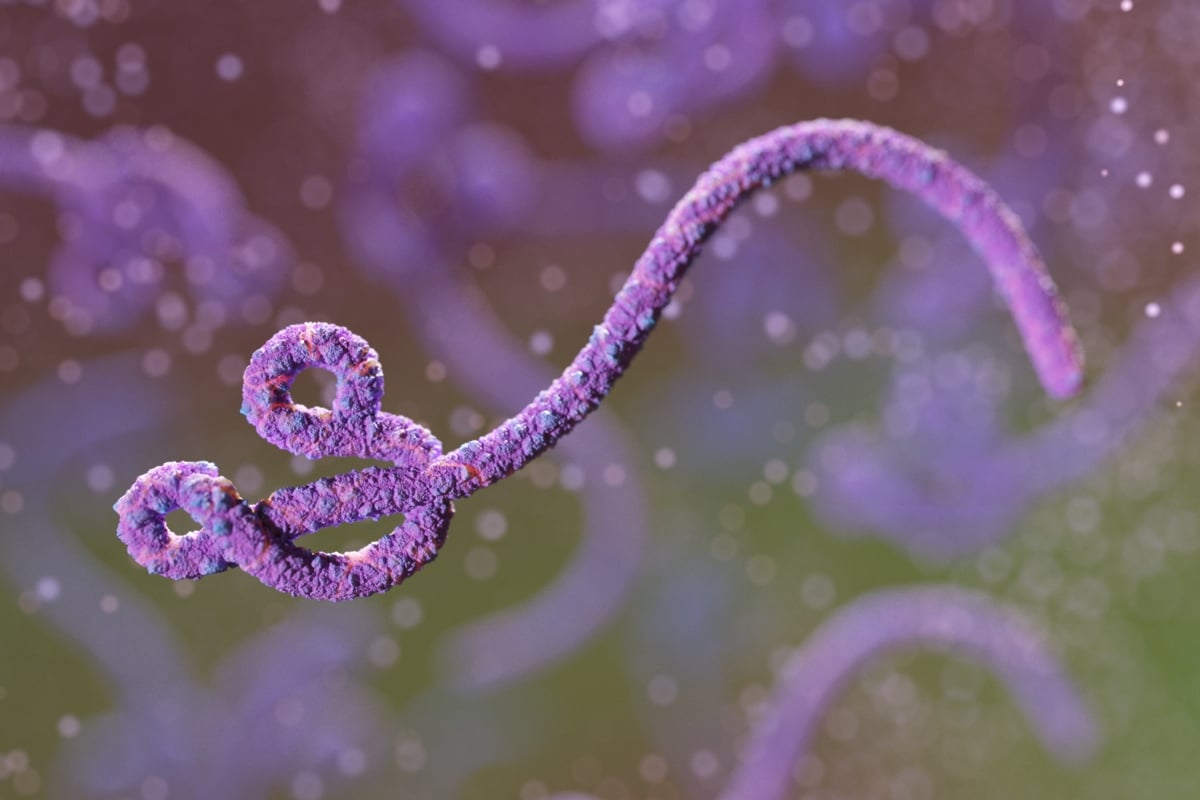 Suspeita de ebola em paciente do Rio vindo de Uganda é descartada