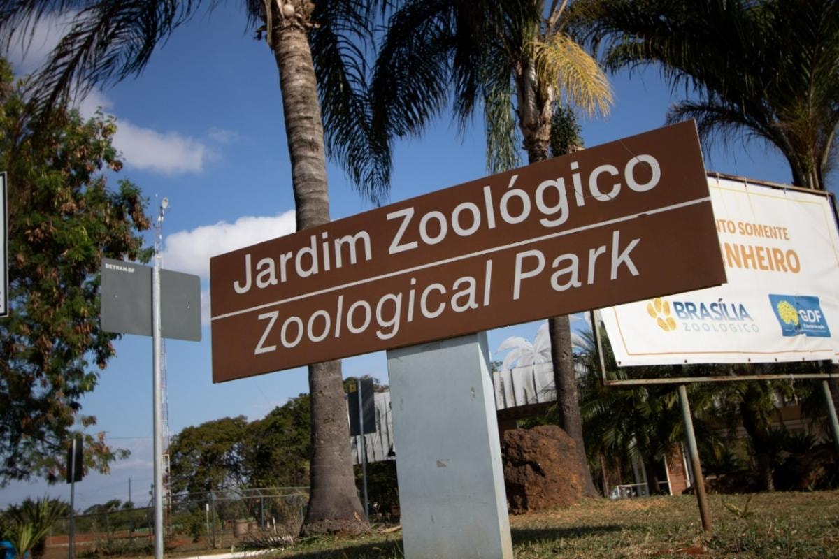 Criança picada por escorpião no Zoológico de Brasília tem alta hospitalar