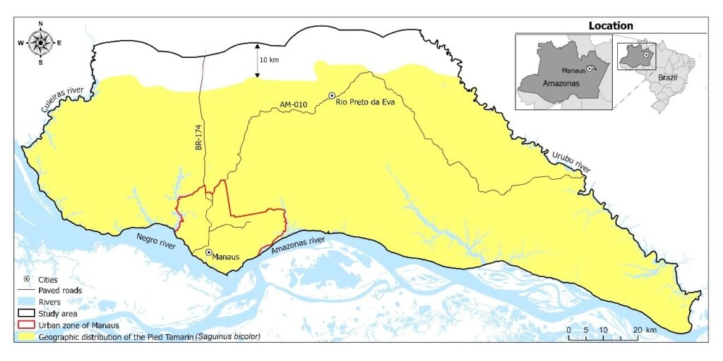 Áreas para a conservação do sauim-de-coleira, símbolo de Manaus – 2: área do estudo e preparação dos dados