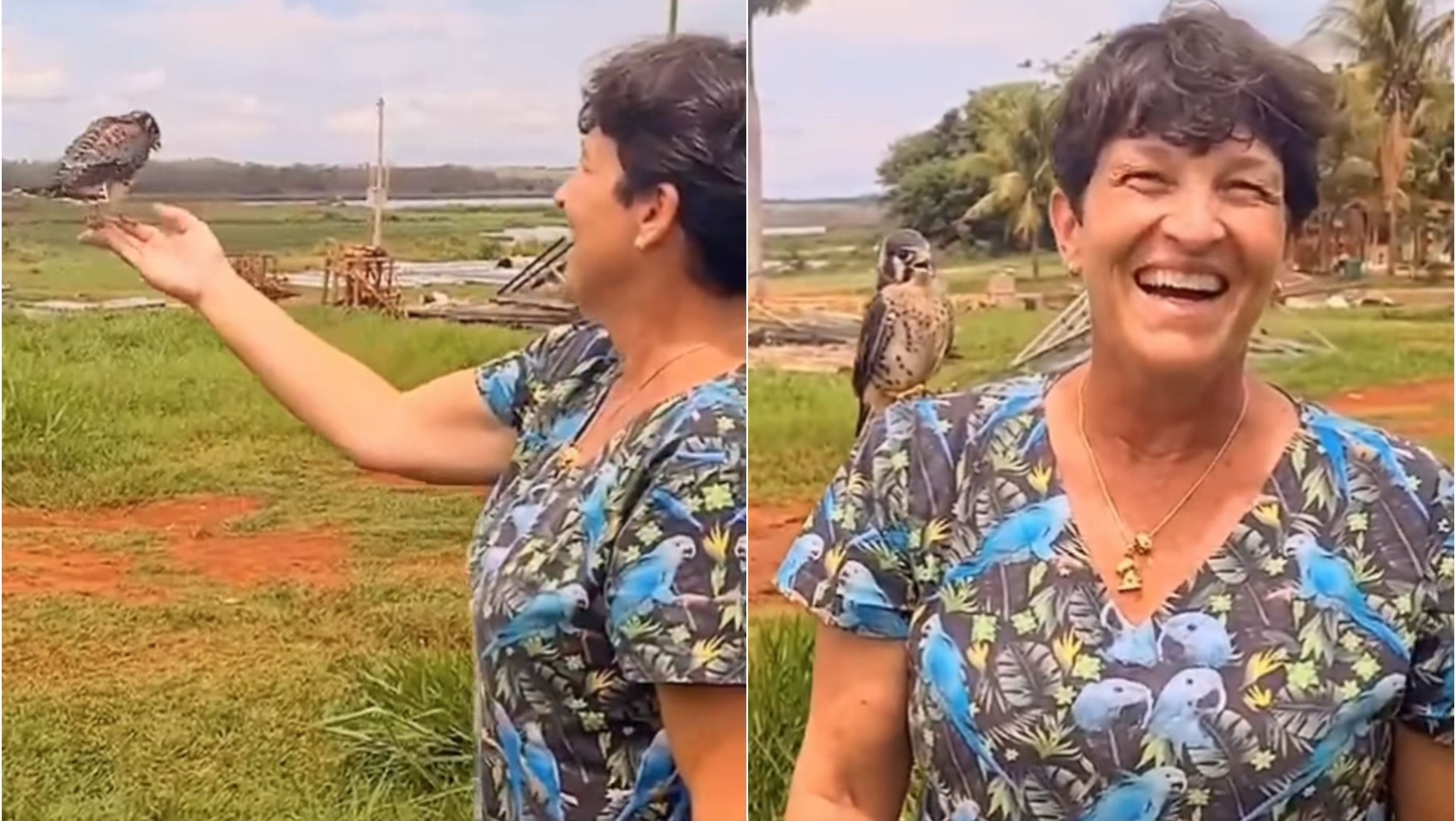 O segredo de 2 mil anos da cera de abelha que preserva pinturas do Egito Antigo
