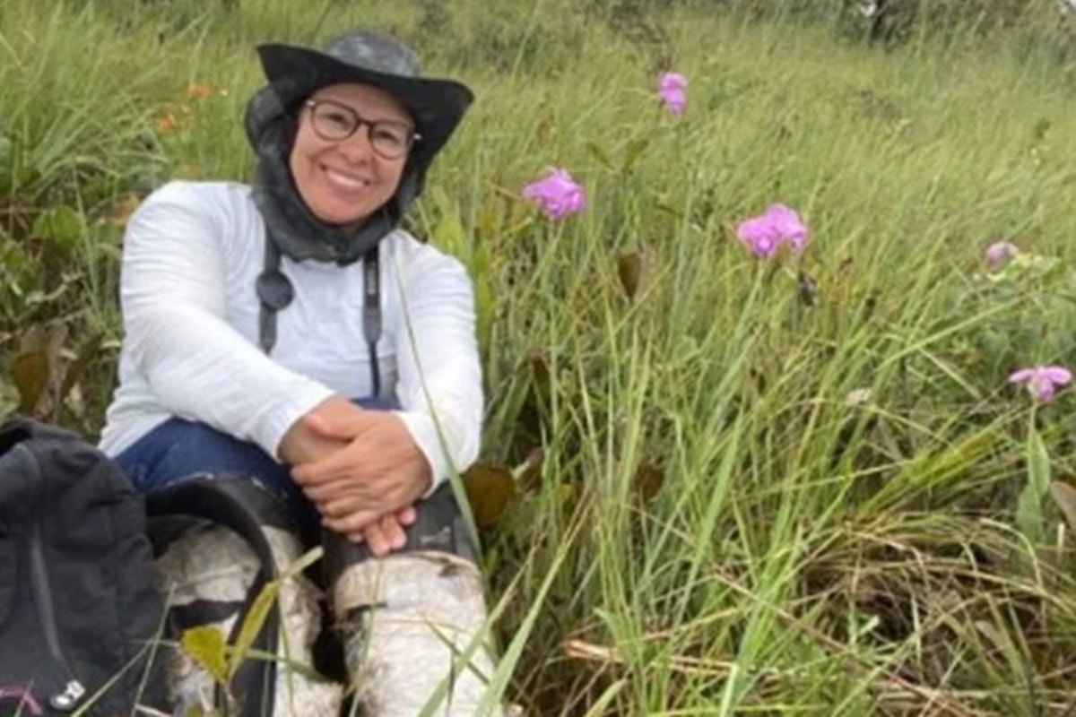 Fratura, vespas e frio: a história da professora perdida 17h na mata