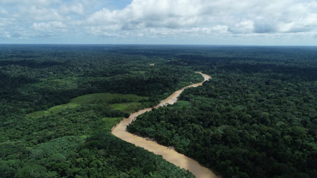 Acre segue como um dos estados com pior desempenho em democracia ambiental na Amazônia Legal