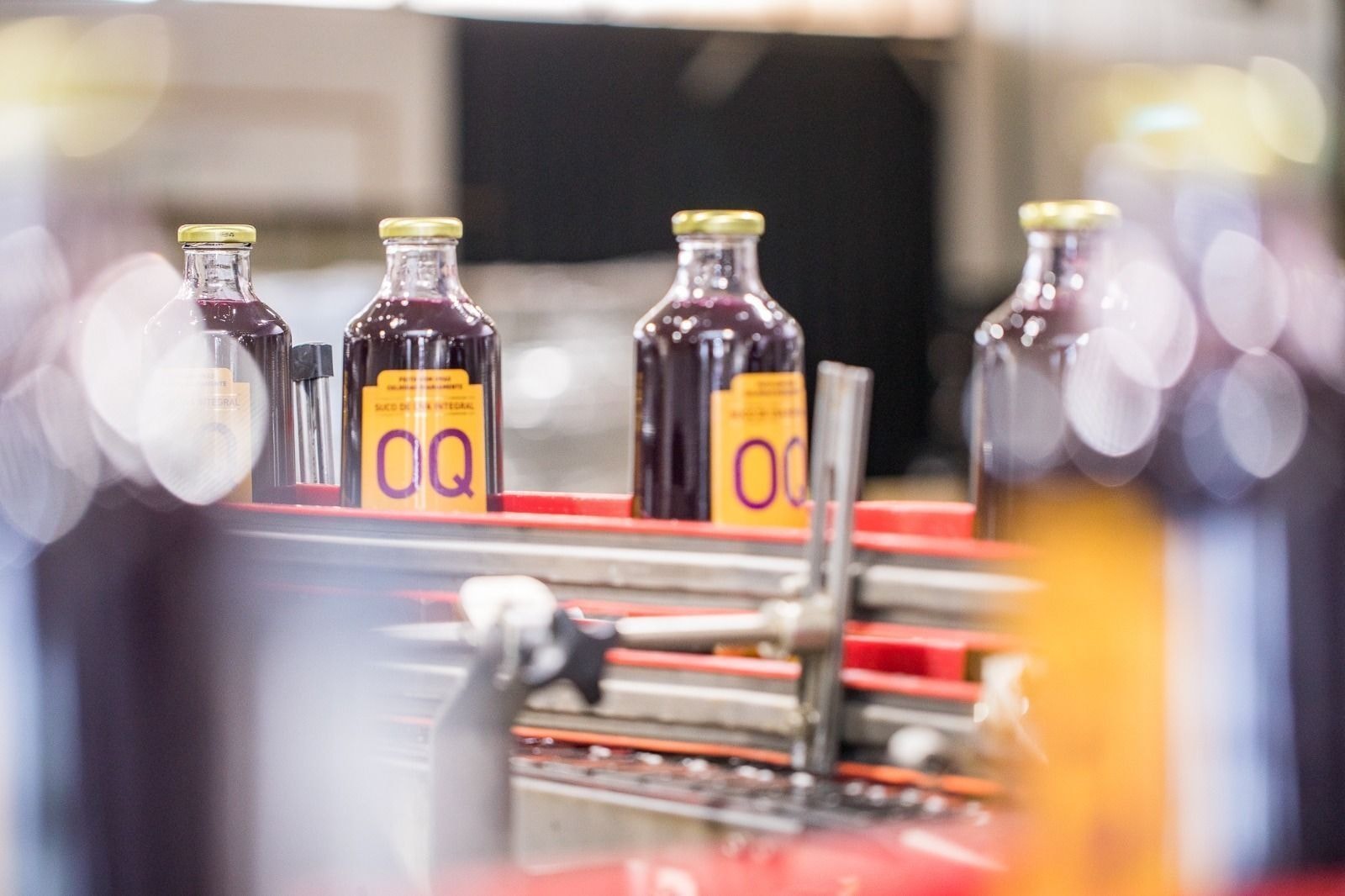 Com dívida bilionária, Grupo Trebeschi pede recuperação judicial