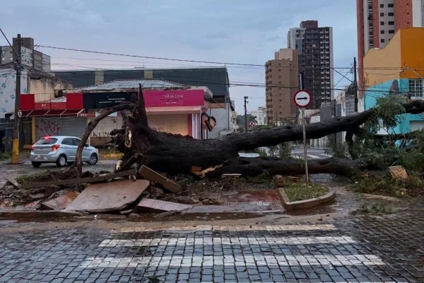 Governo de SP envia ajuda humanitária a Ribeirão Preto após temporal