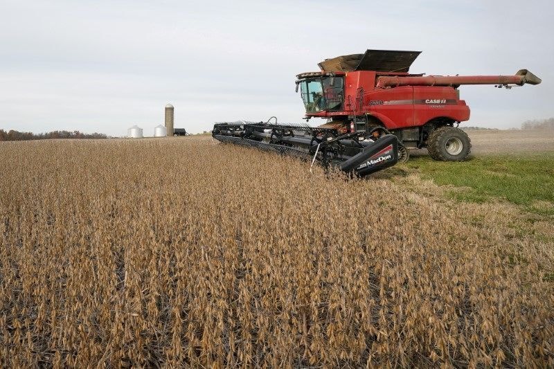 Mosaic e Elicit Plant desenvolvem solução para canola na América do Norte