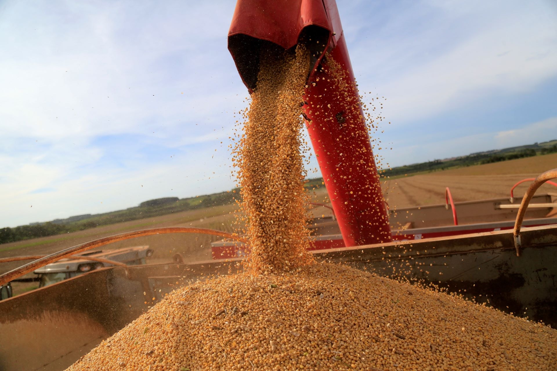 MP da dívida rural será editada nesta quarta, prevendo juros de até 12%, diz Durigan