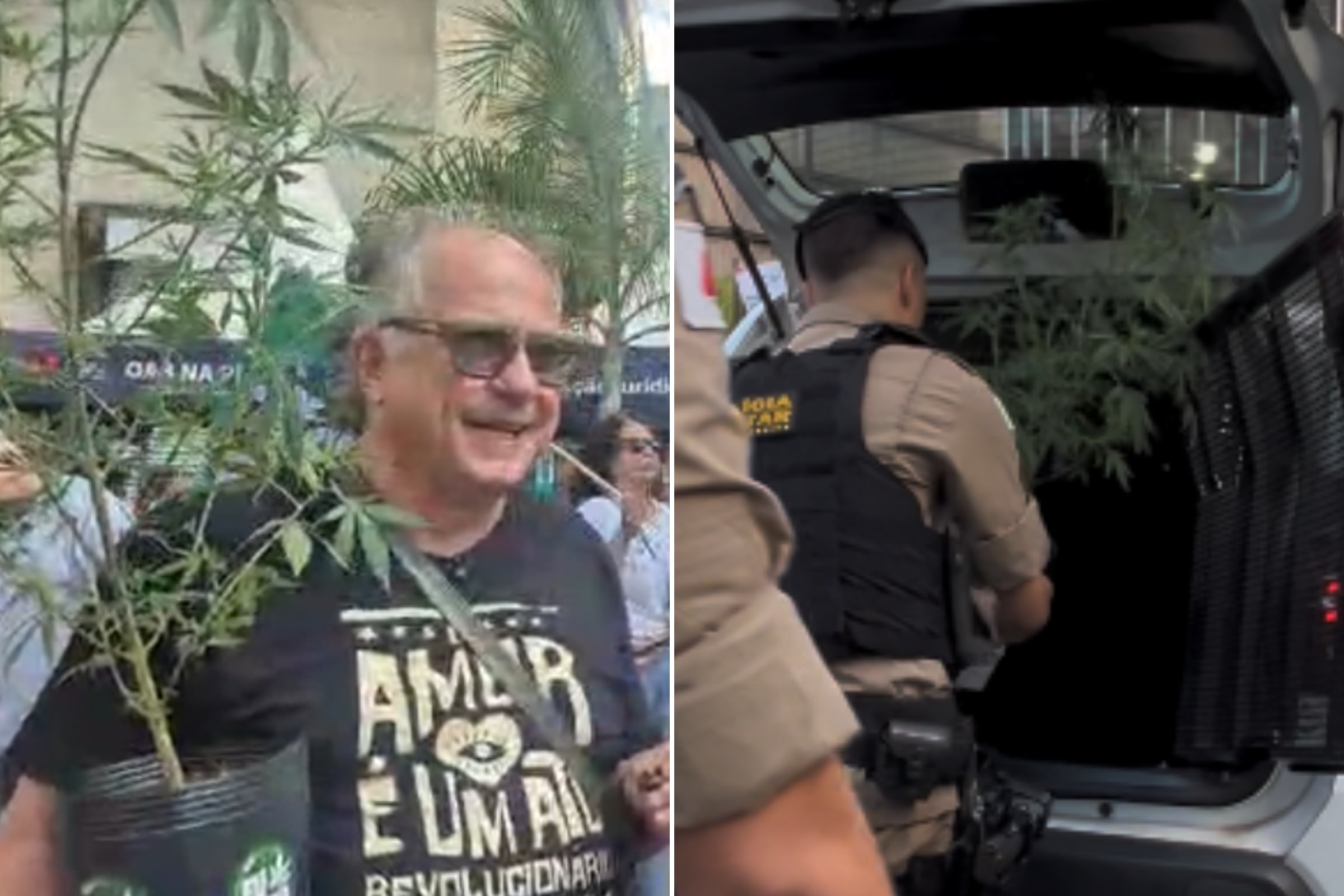 PC vê possibilidade de devolver pé de maconha levado de camburão em BH